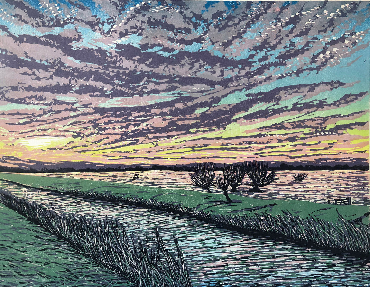 linocuts etchings and screenprints depicting views of Norfolk and East Anglia. Thetford Forest, Hunstanton, Tulip Fields, Sunsets., lots of colour and textured art for the home and office