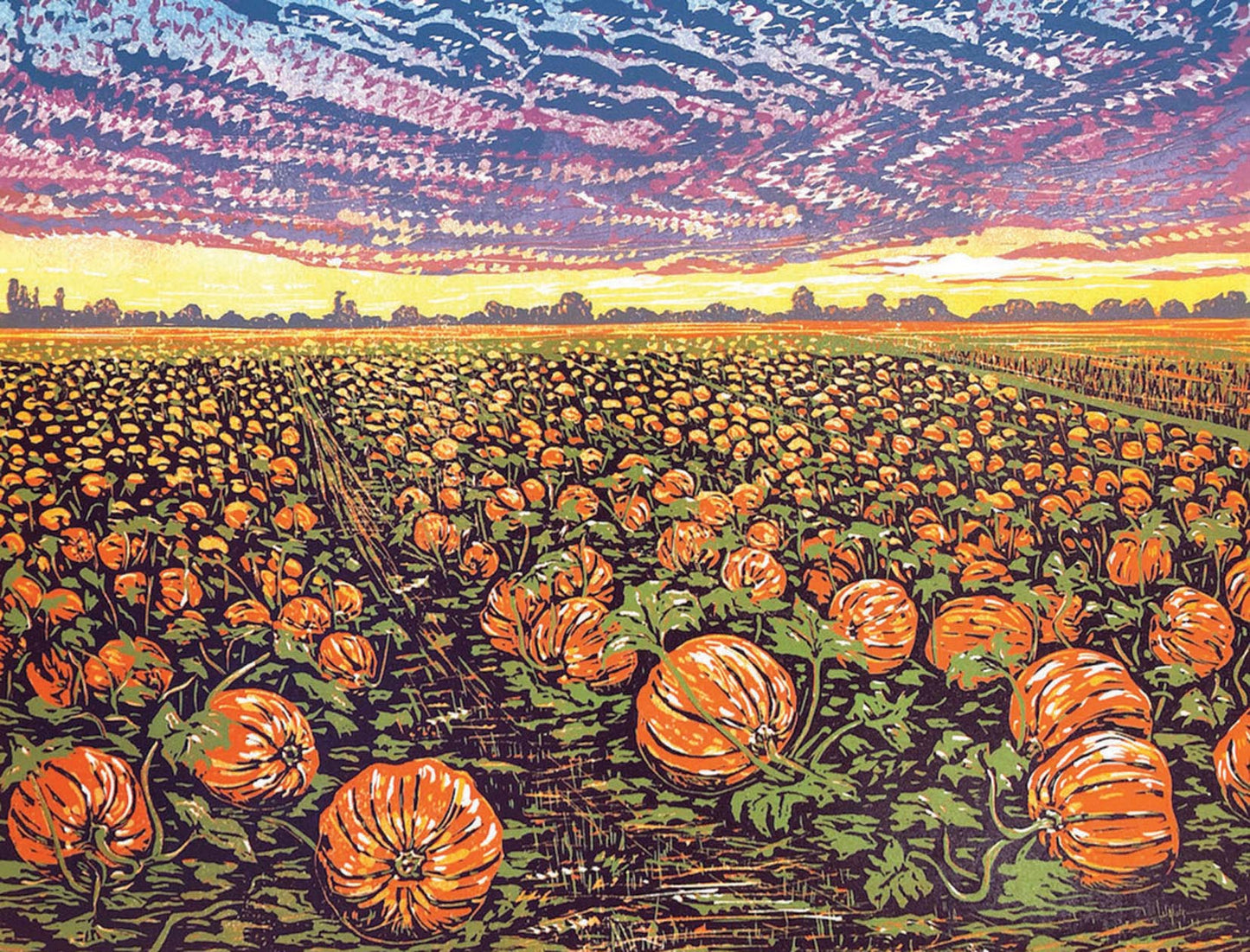 Pumpkin Fields