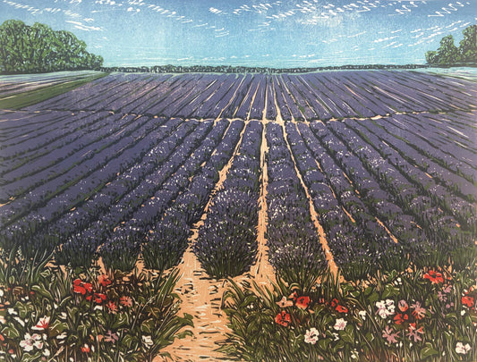 Lavender Fields